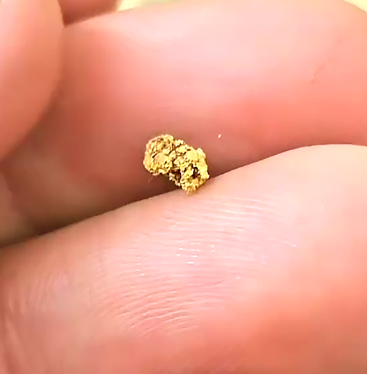 Nuggets