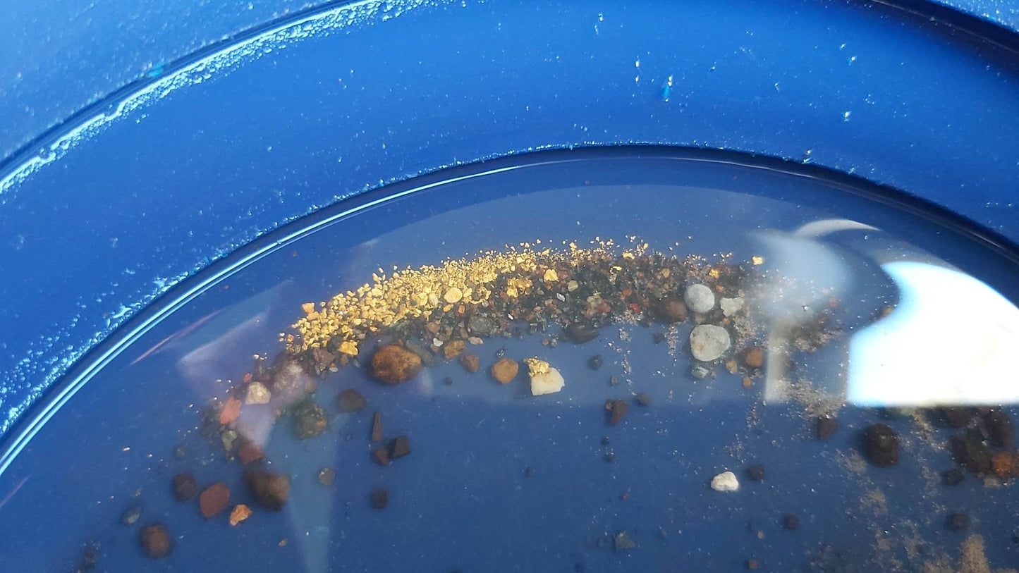 1/4 Gram Pay-Dirt