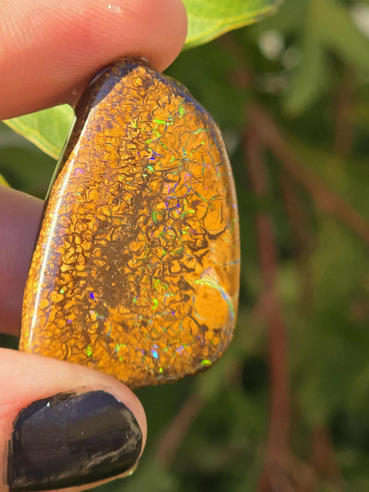 QLD Boulder Opal 52ct