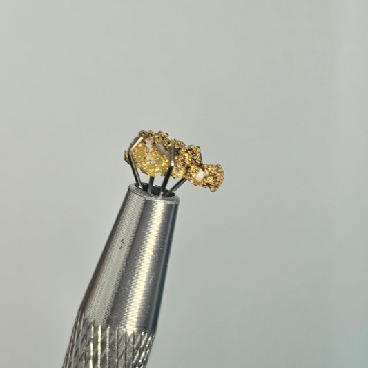 0.527g WA Reef Specimen