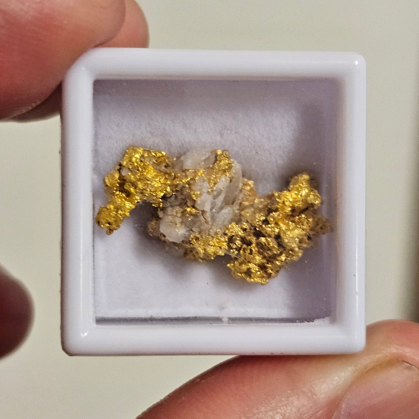 8.28g Palmer River Gold Specimen