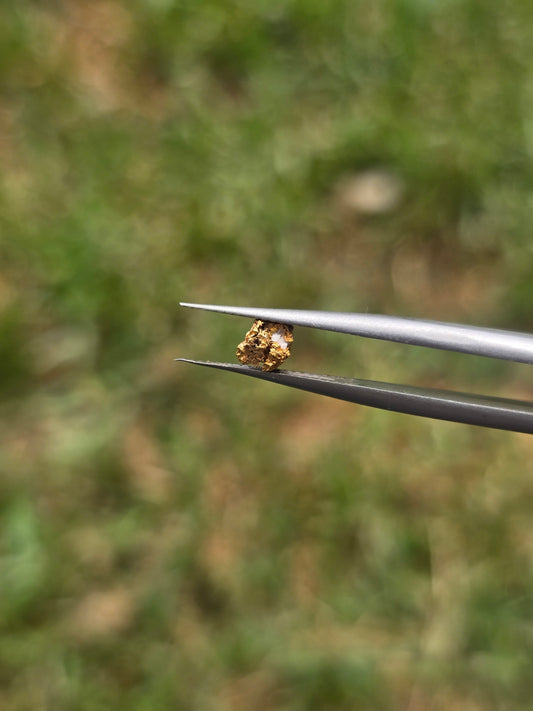 0.24g Gold Nugget