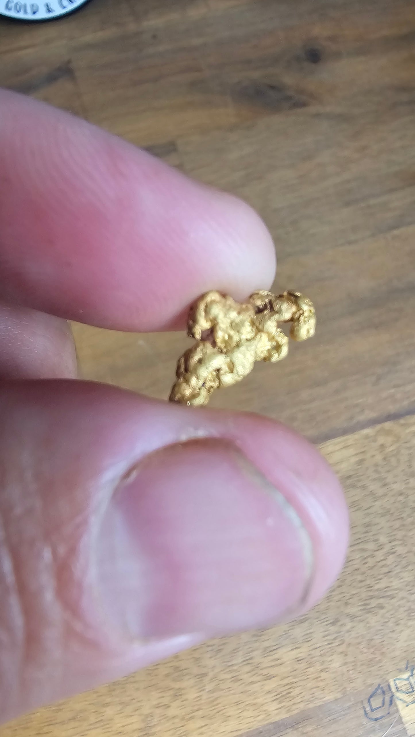 1.67 Gram Gold Nugget Victorian