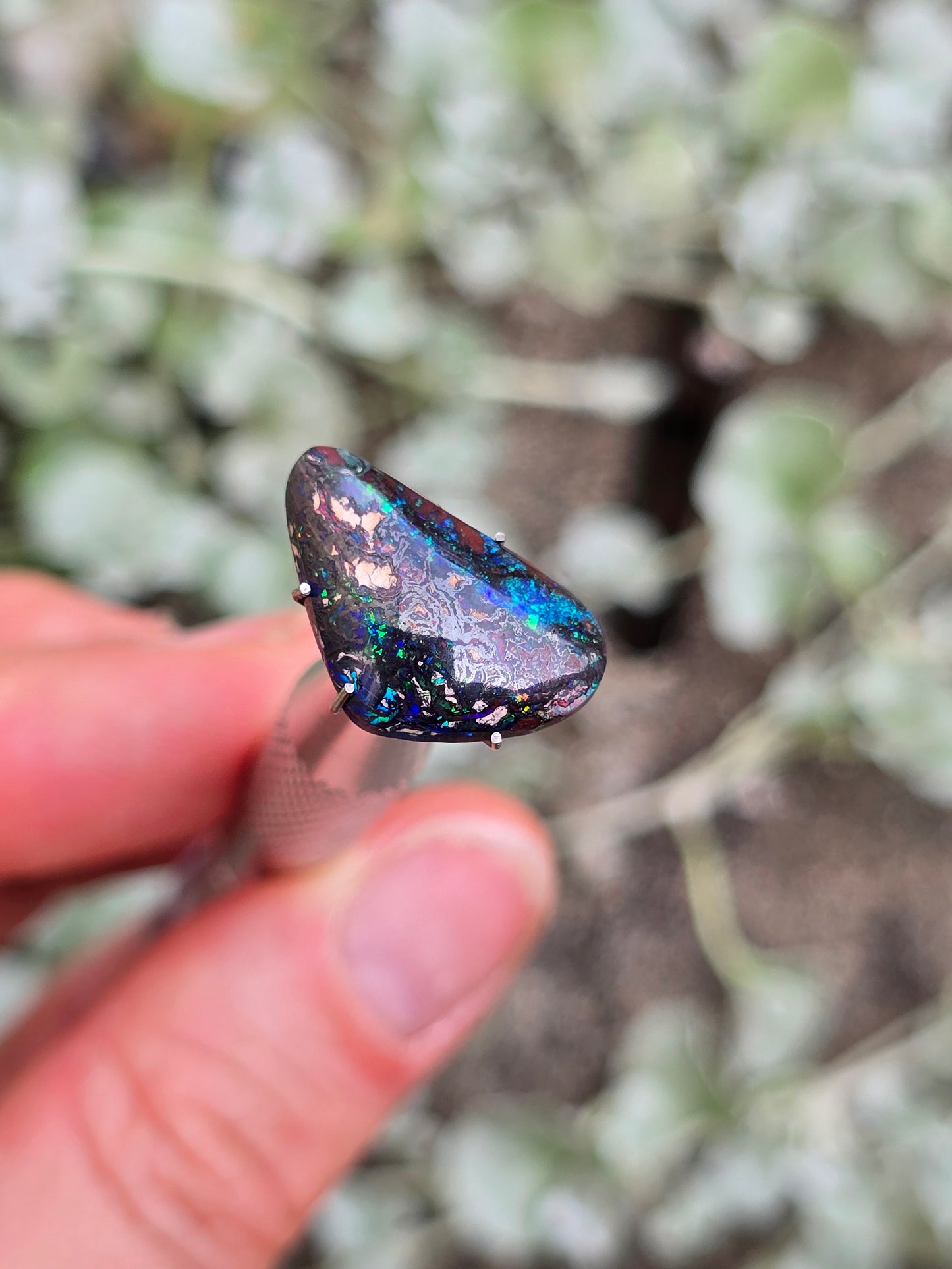 Opal