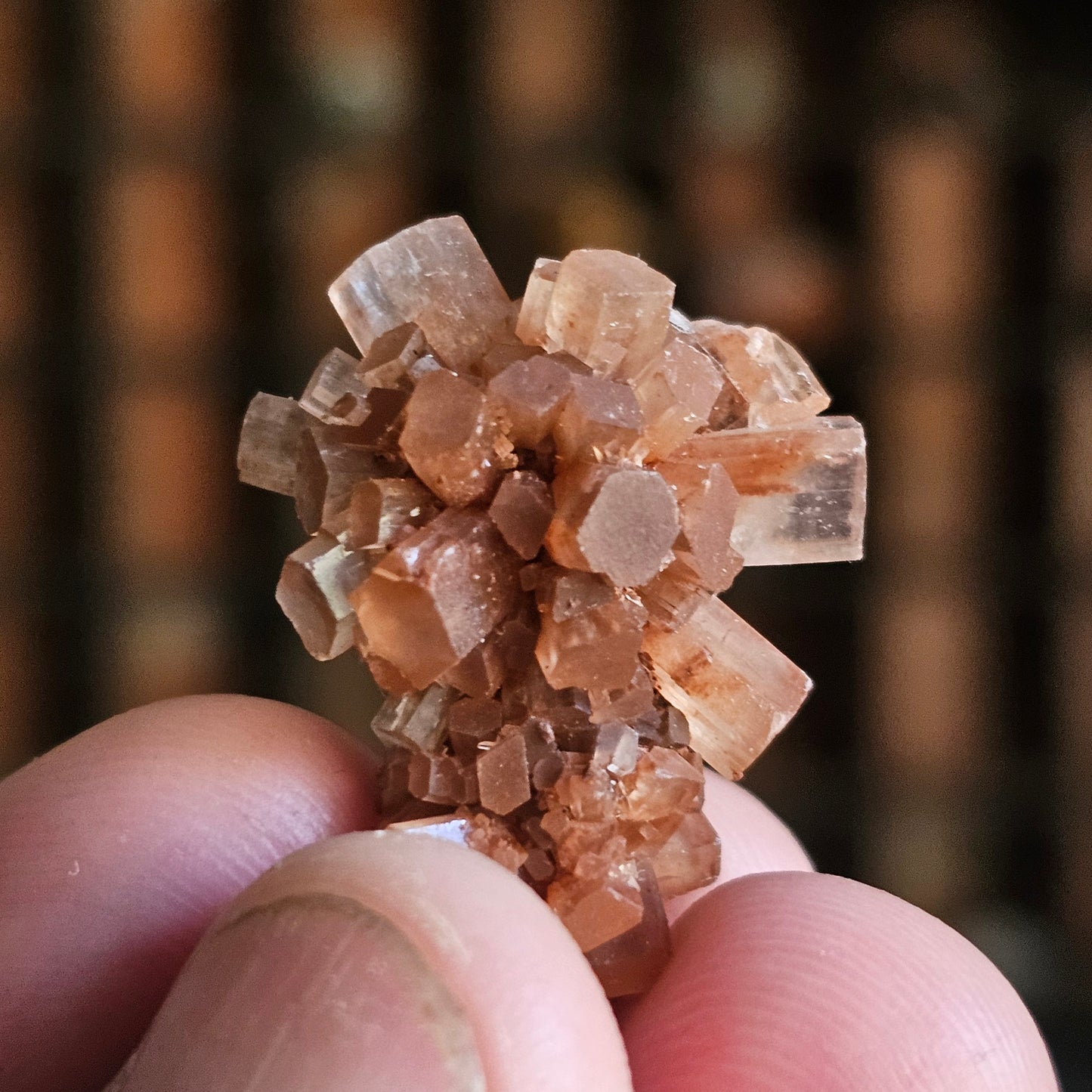 Argonite Crystals
