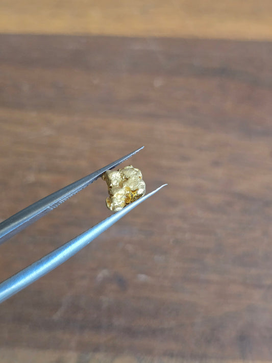 0.54g Gold Nugget