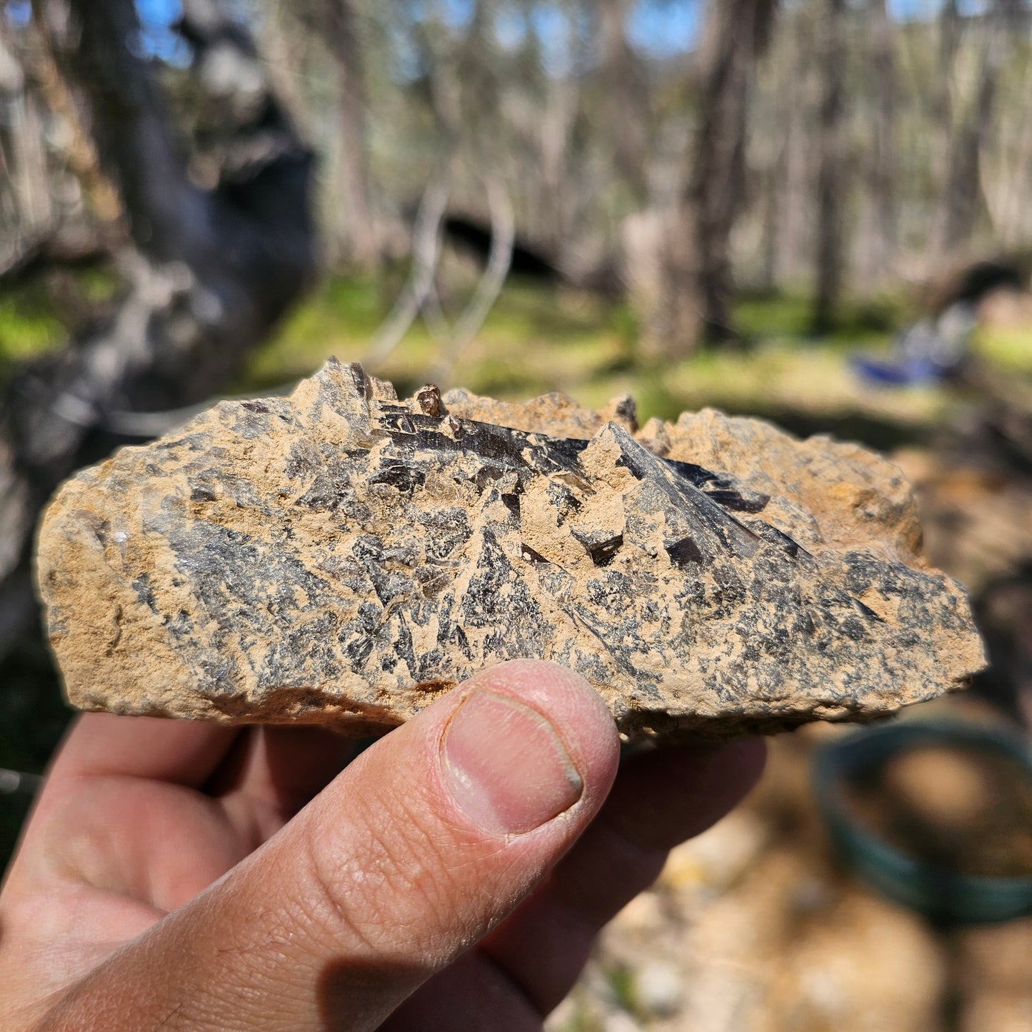 Smokey Quartz Specimen