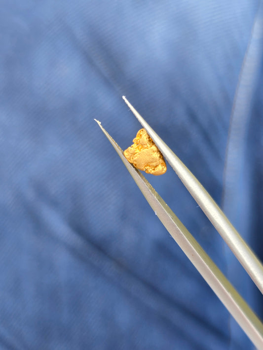 0.50g Gold Nugget