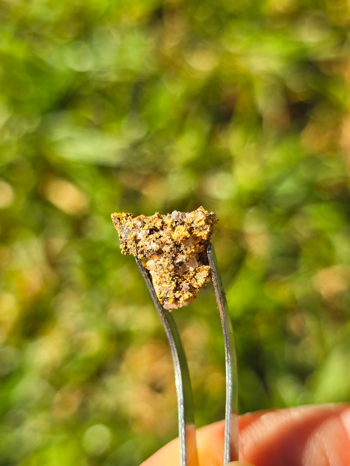 1.882g Gold Nugget beechworth