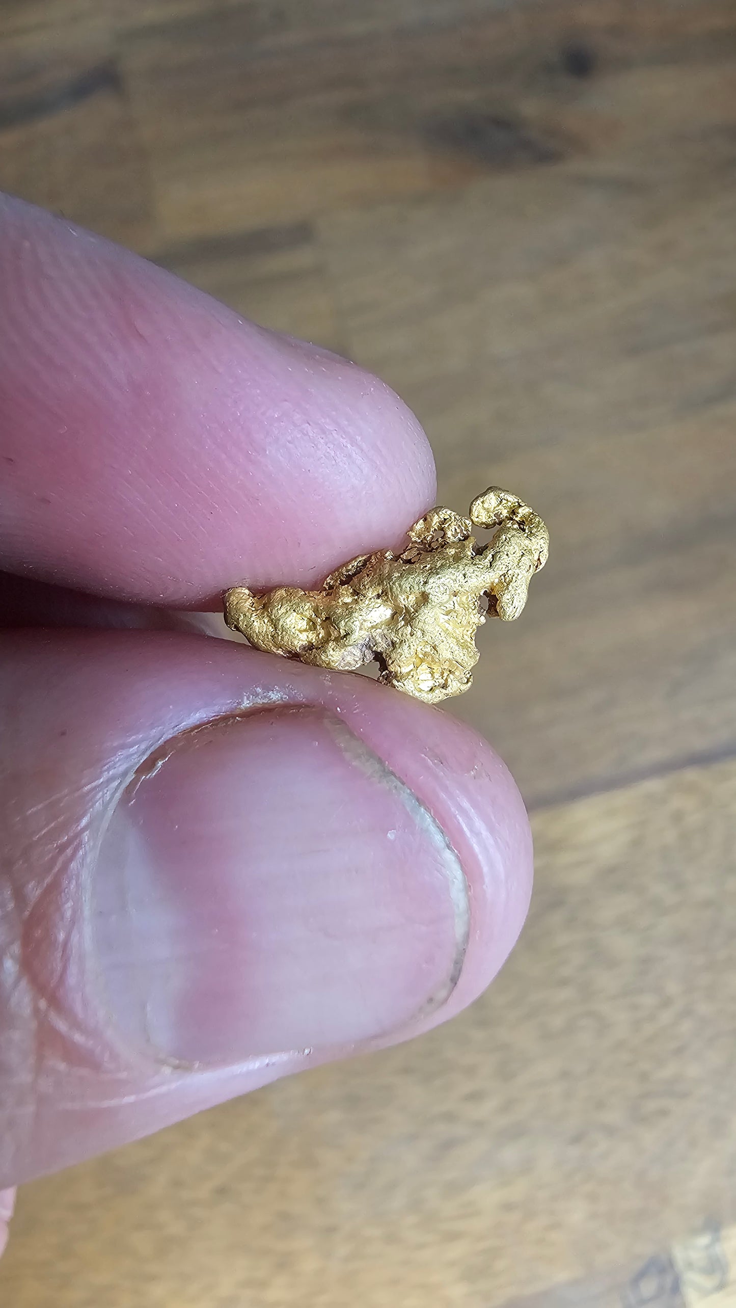 1.67 Gram Gold Nugget Victorian