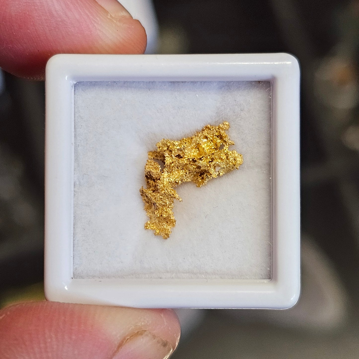 1.29g Reef Gold Nugget