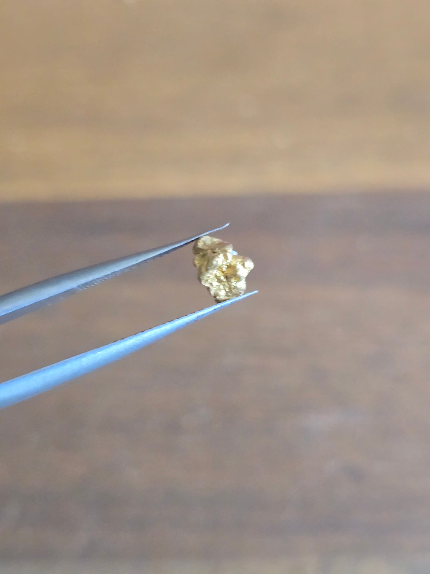 0.58g Gold Nugget