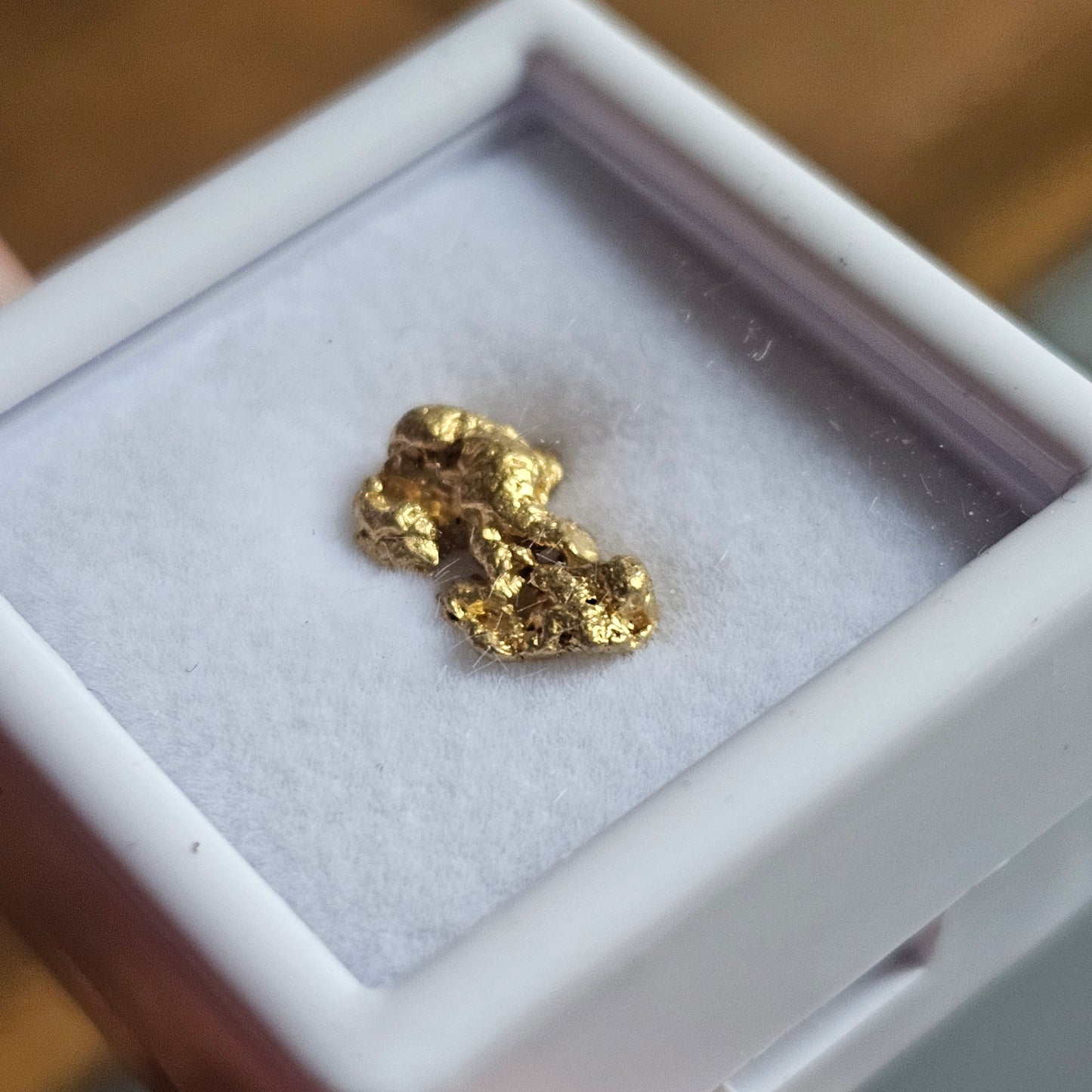 1.10g FNQ gold nugget