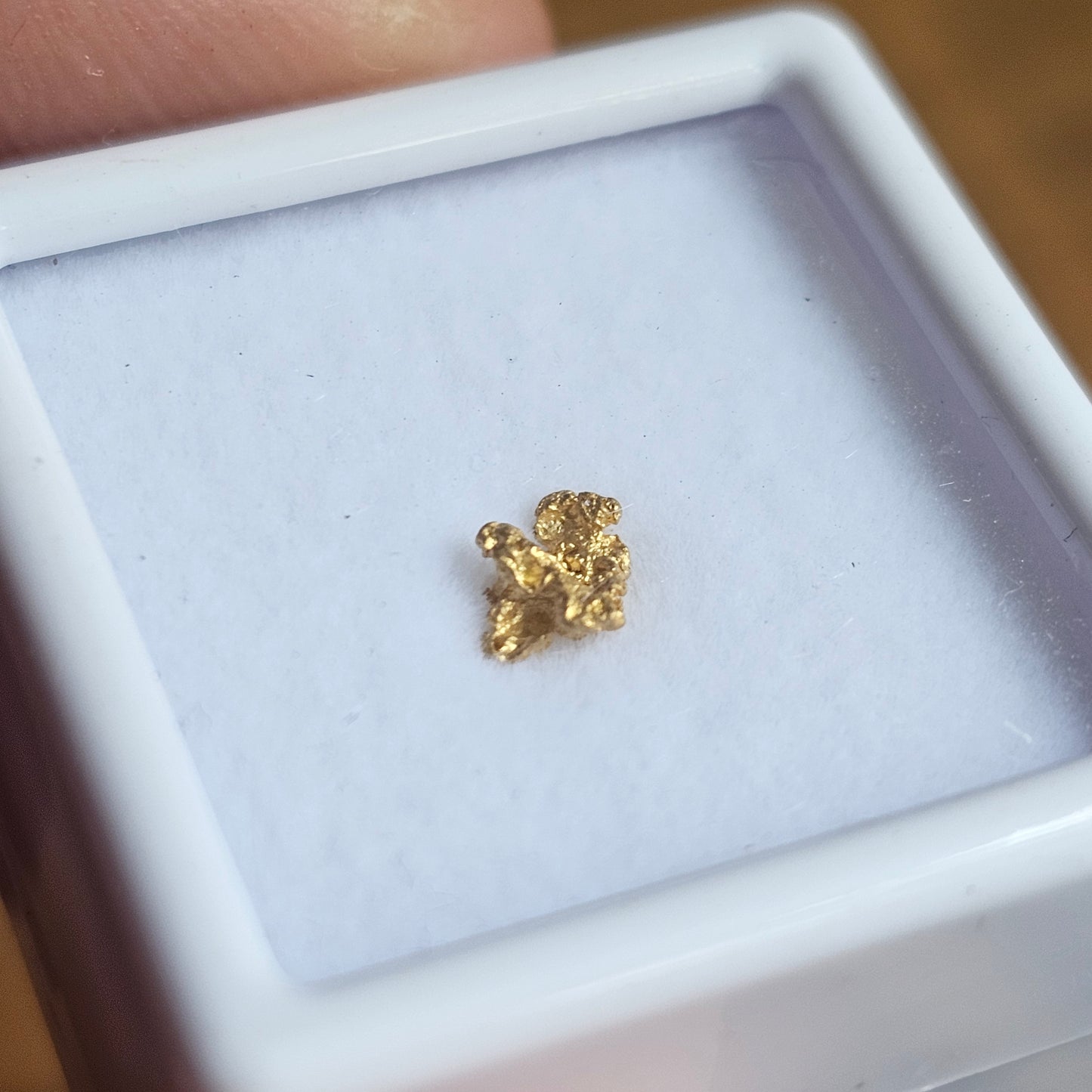 0.204g Bendigo Gold Nugget