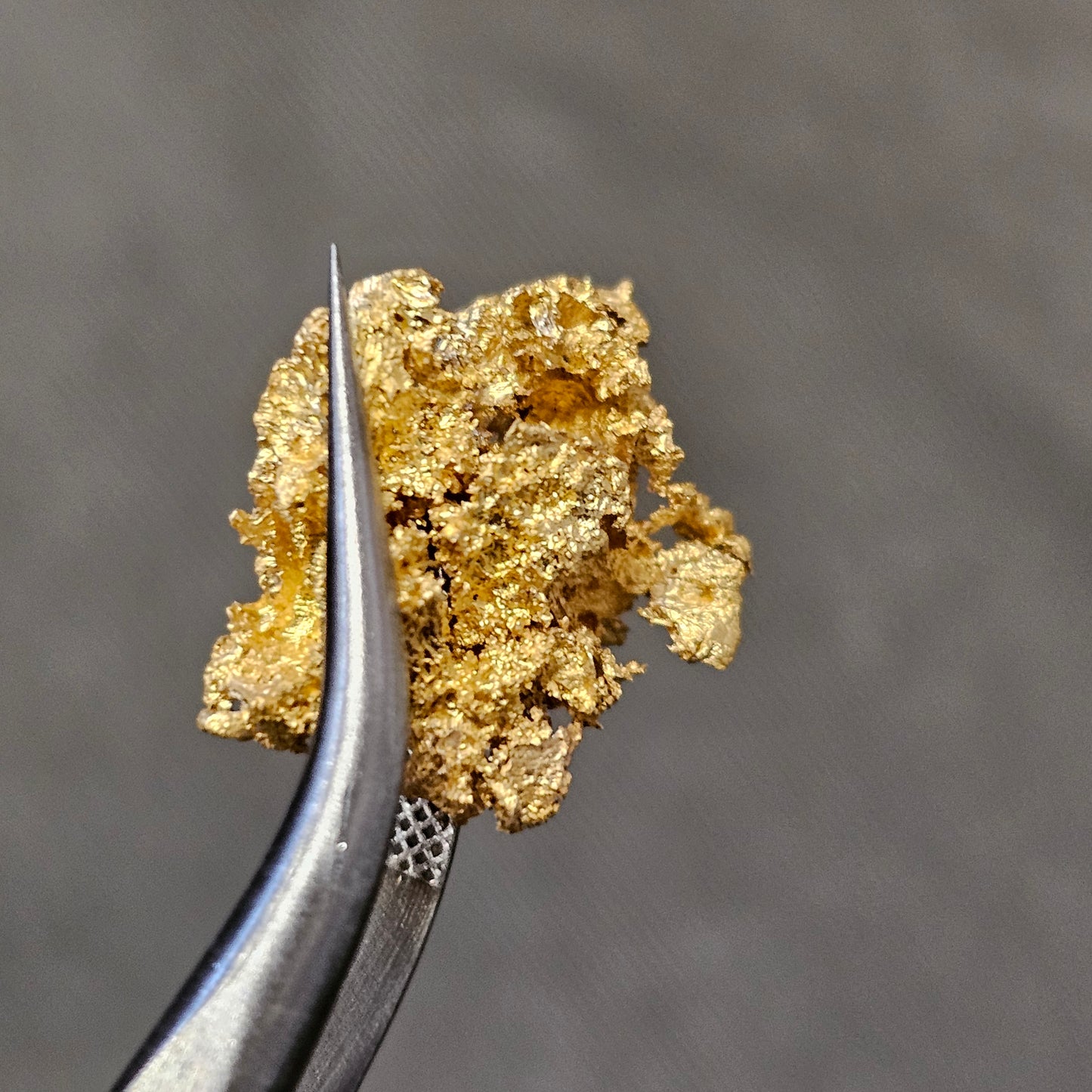 2.19g Reef Gold Nugget