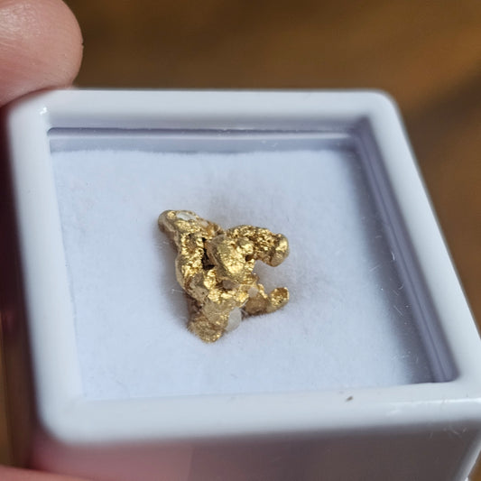 1.42g FNQ Gold Nugget