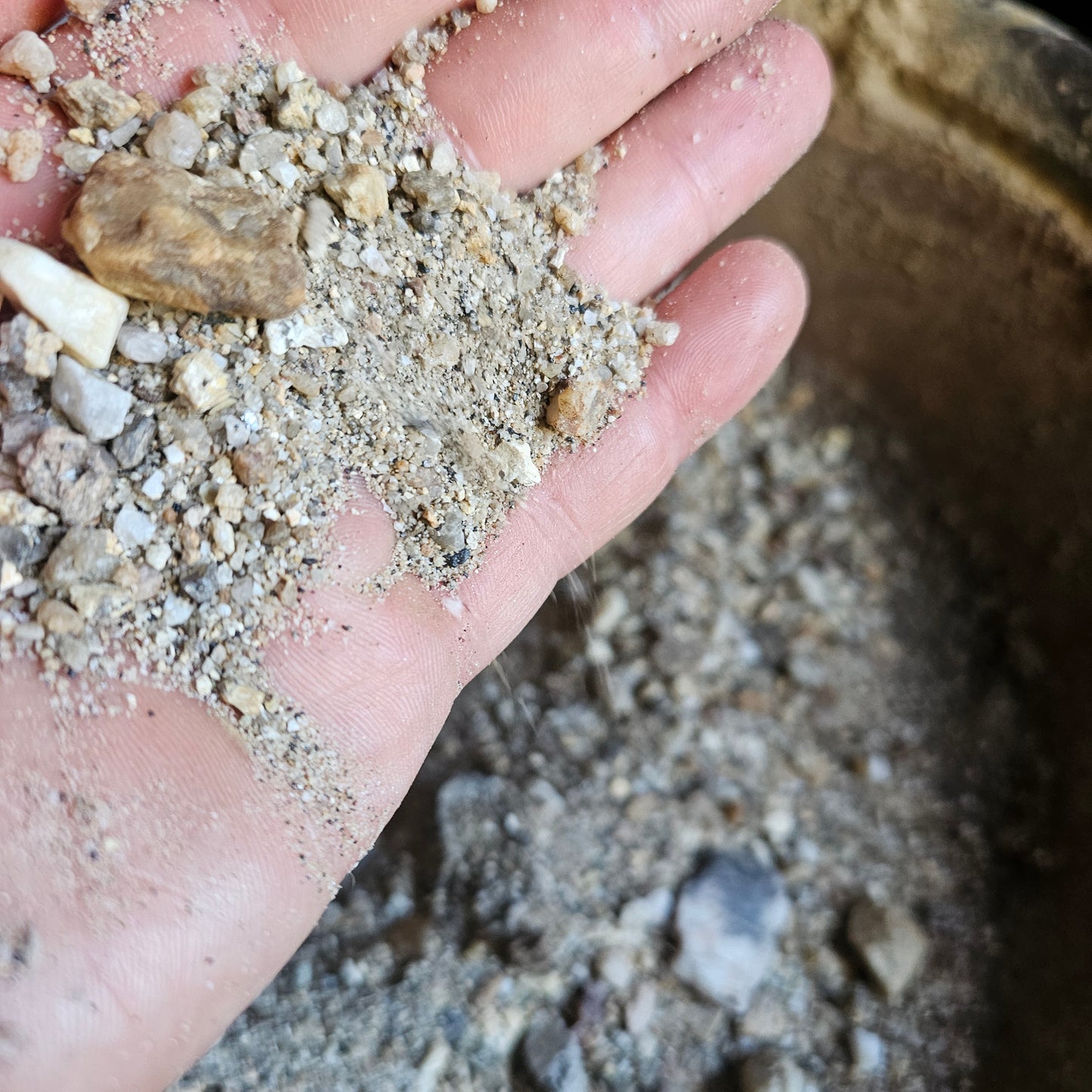 1/2 Gram Gold Pay-Dirt!