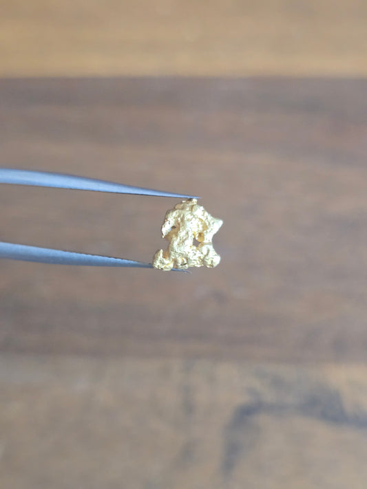 0.77g Gold Nugget