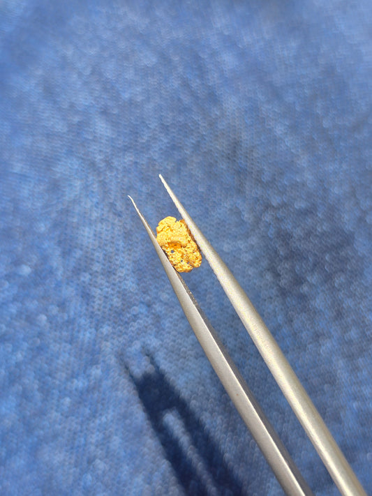0.32g Gold Nugget