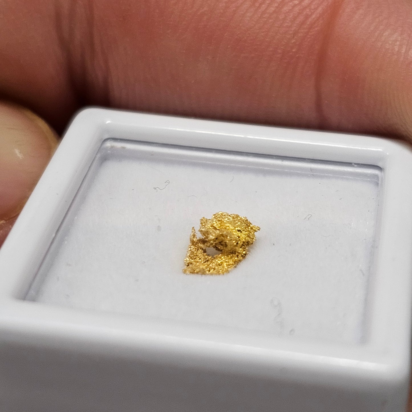 0.30g Reef Gold Nugget