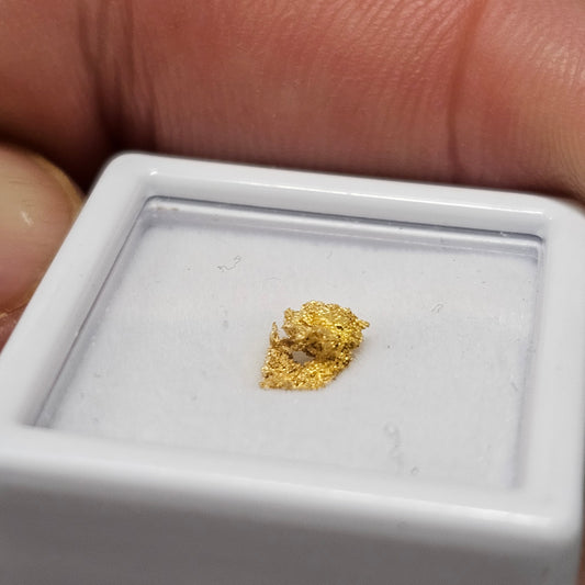 0.30g Reef Gold Nugget