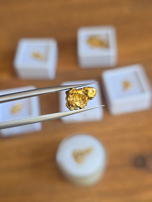 1.6G Gold Nuggy Wuggy