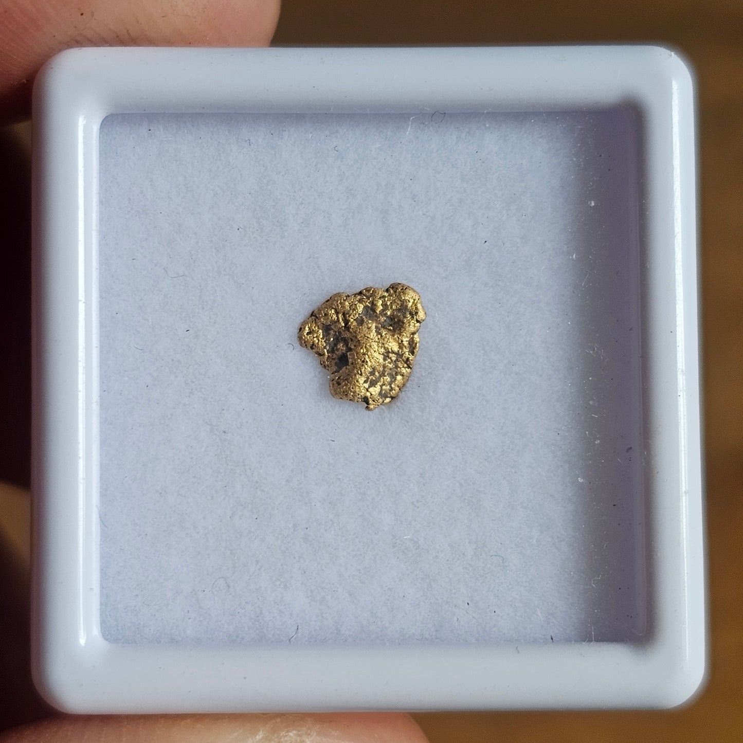 0.25g WA Gold Nugget