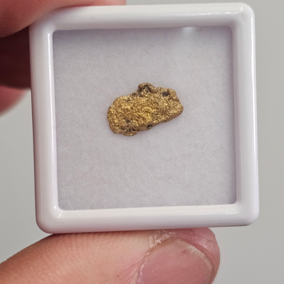 0.59g Rushworth Gold Nugget