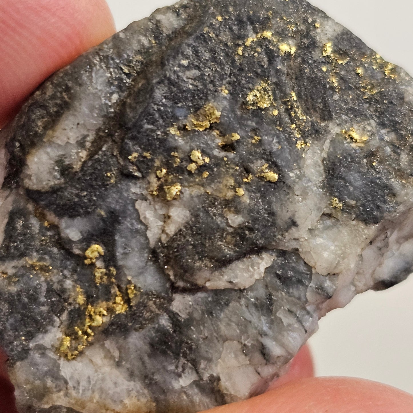 RARE Mitta Mitta Gold Specimen