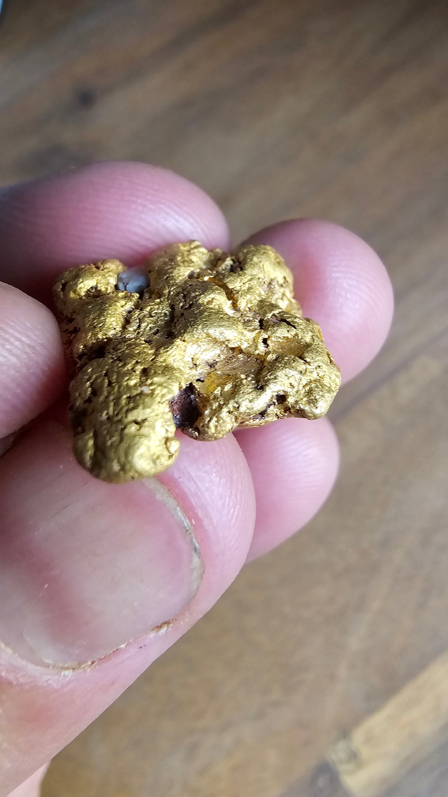 15.67 Gram Golden Triangle Nugget