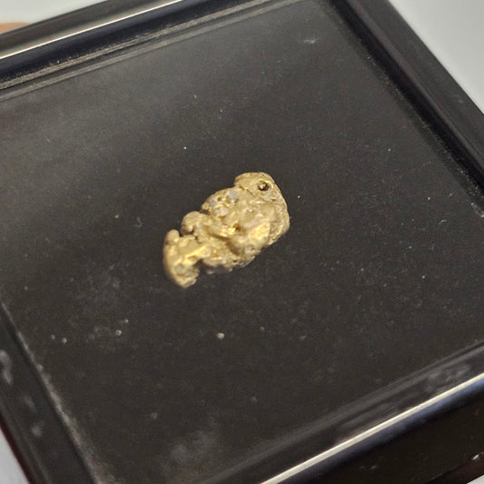 1.13g WA Gold Nugget
