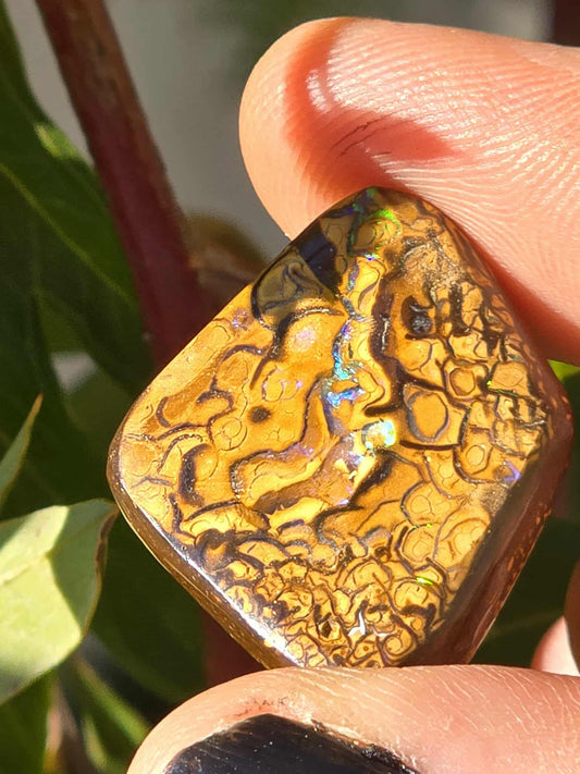 Queensland Boulder Opal