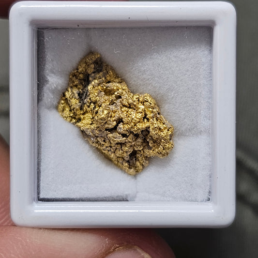 4.72g Reef Gold Nugget