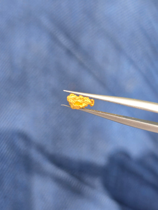0.31g Gold Nugget