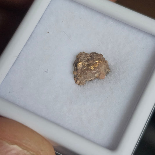 0.75g Rushworth Gold Specimen