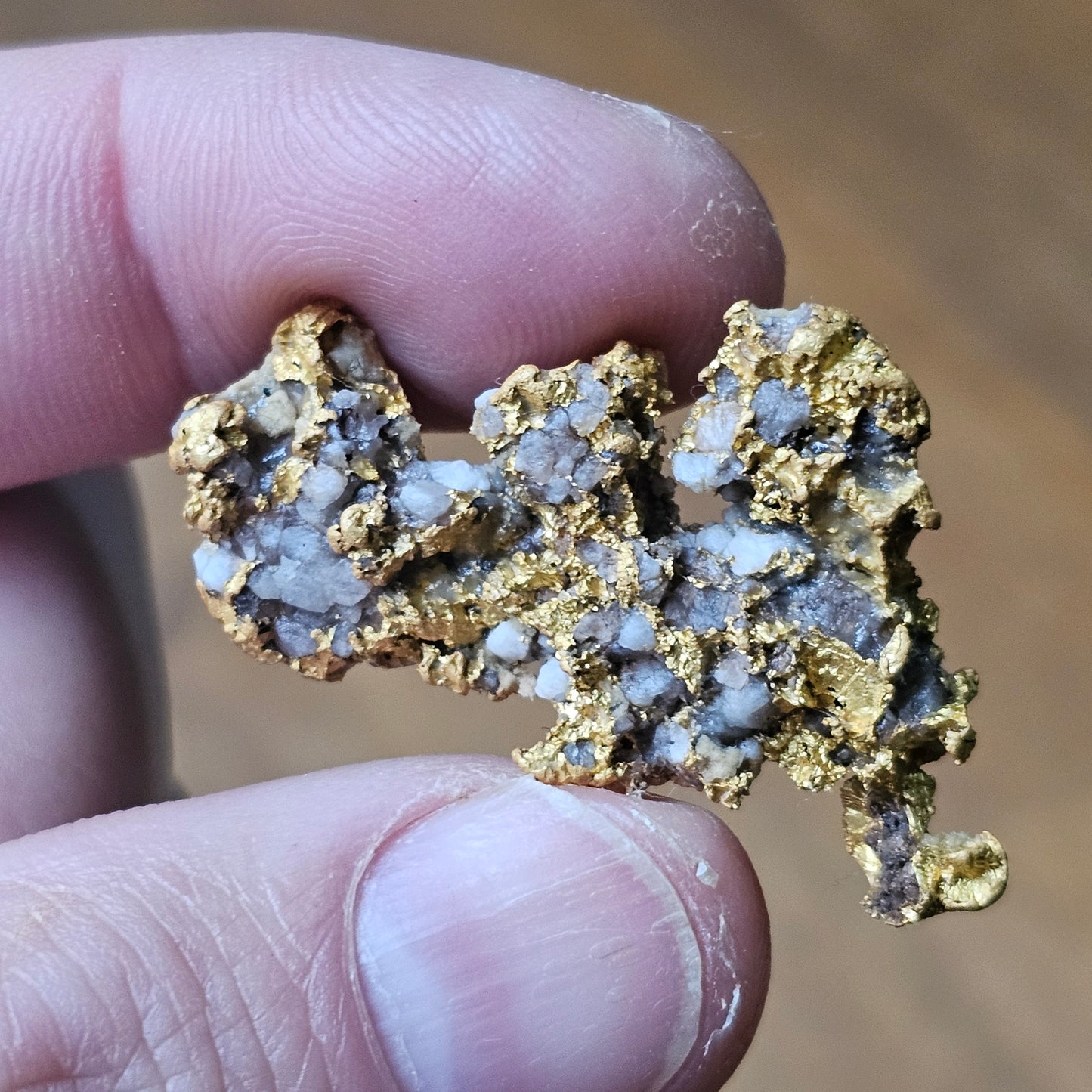 18.76 Gram Bendigo Reef Specimen