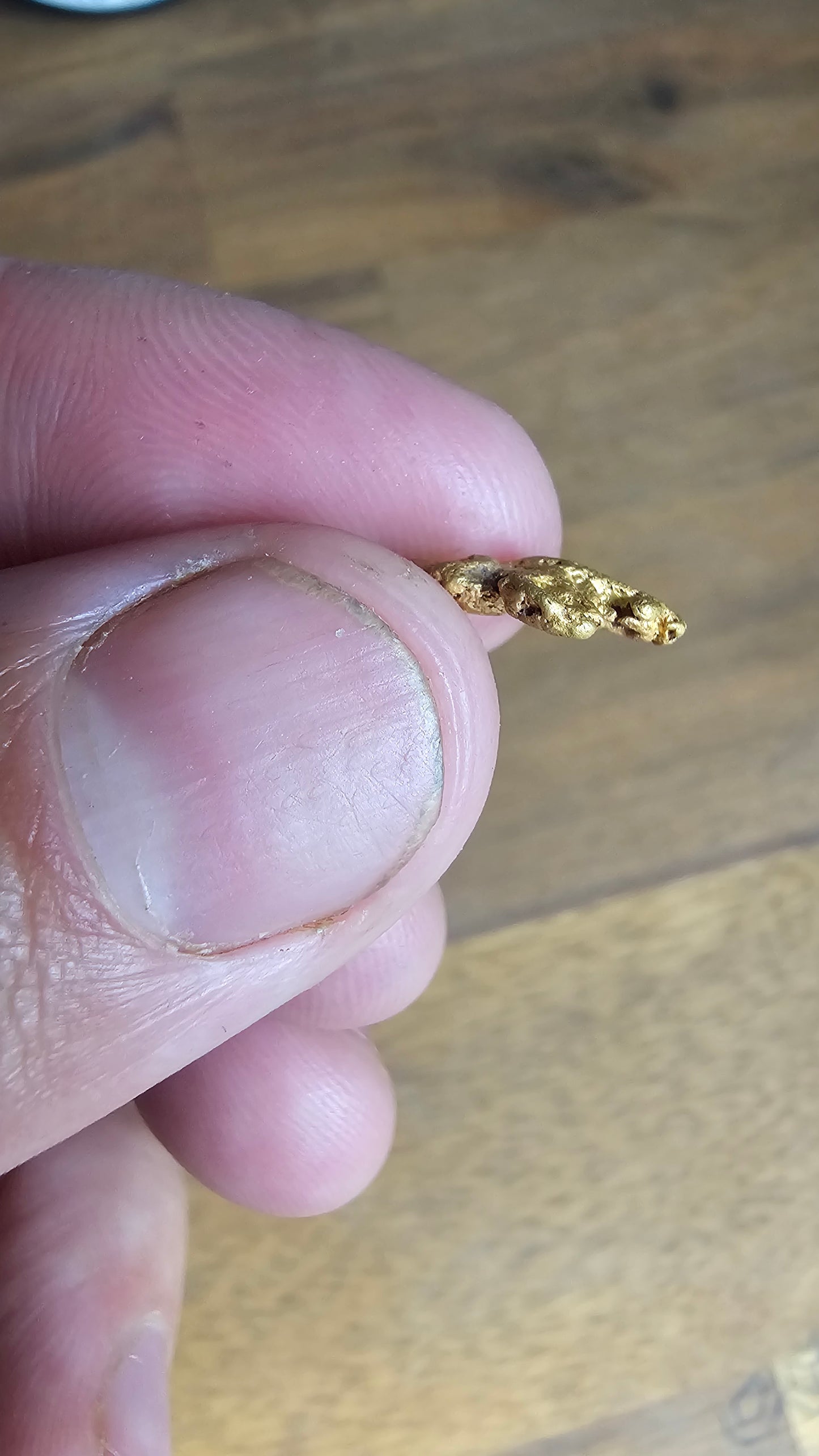 1.67 Gram Gold Nugget Victorian