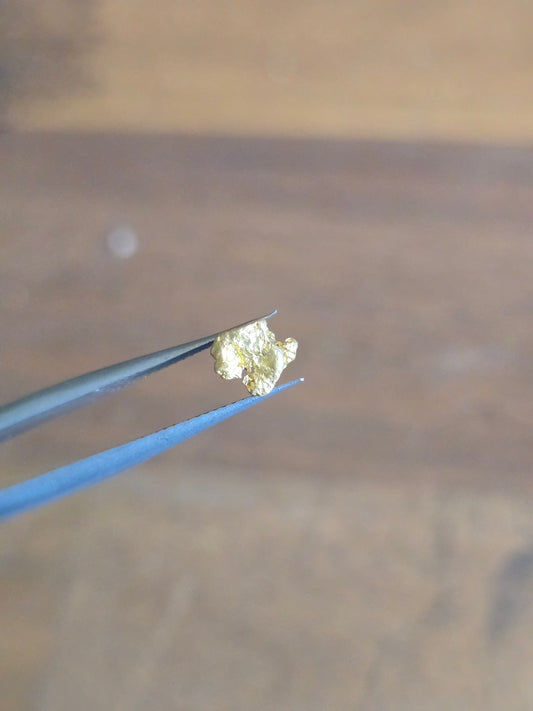 0.59g Gold Nugget