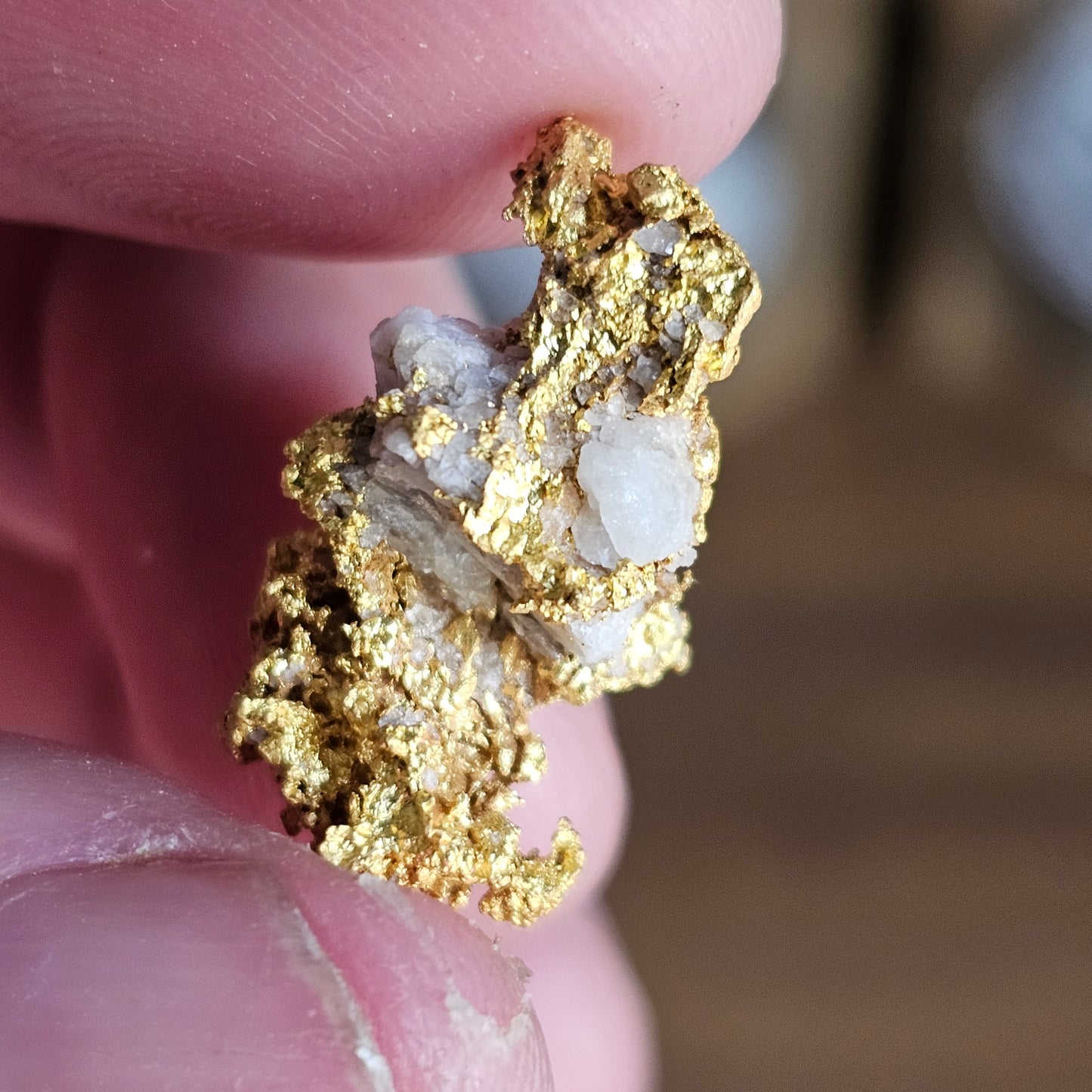 8.28g Palmer River Gold Specimen
