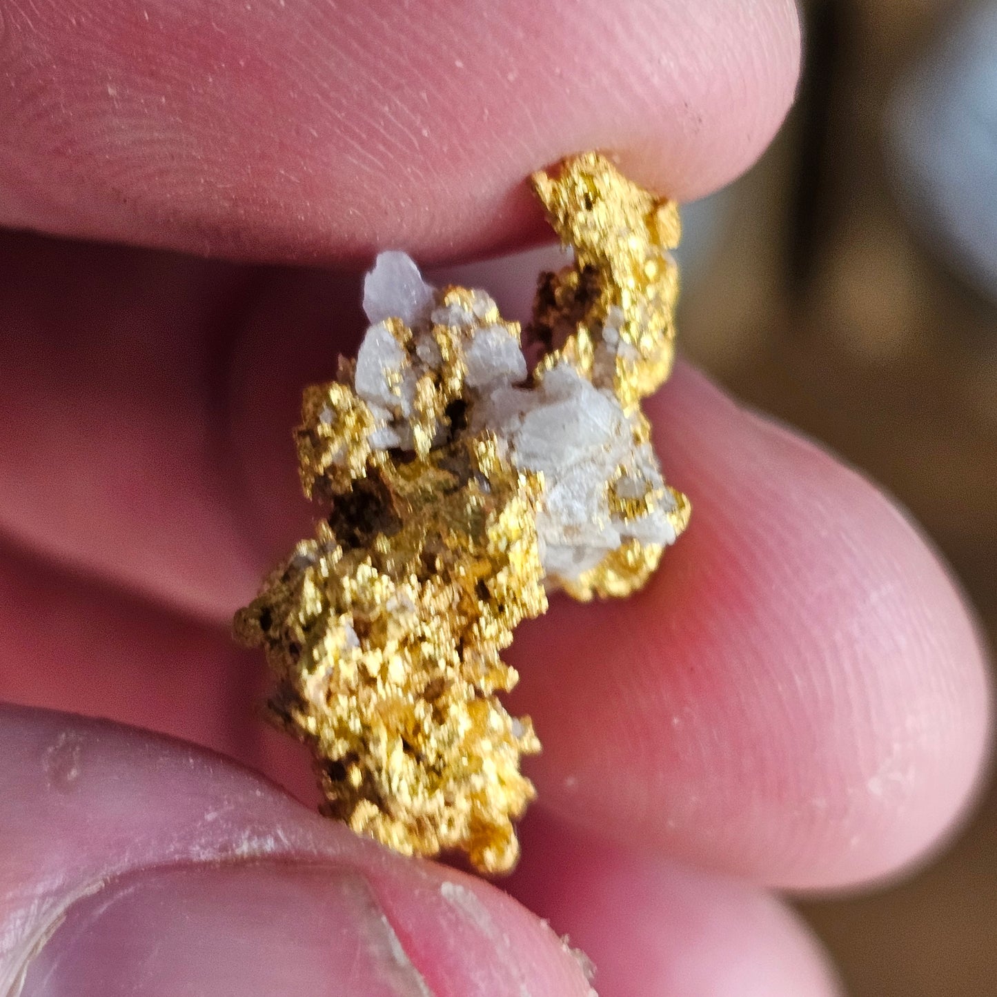 8.28g Palmer River Gold Specimen