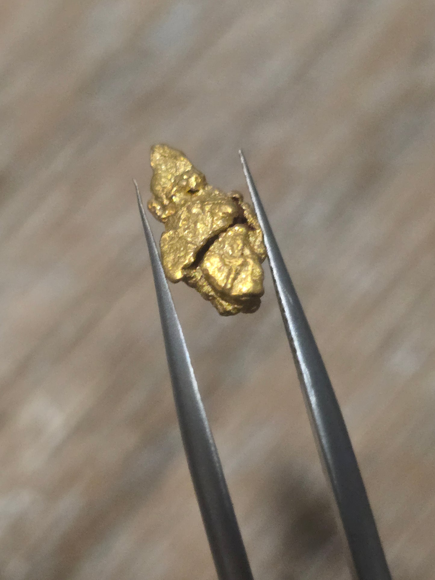 1.598g Clearmont gold nugget