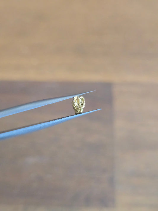 0.17g Gold Nugget