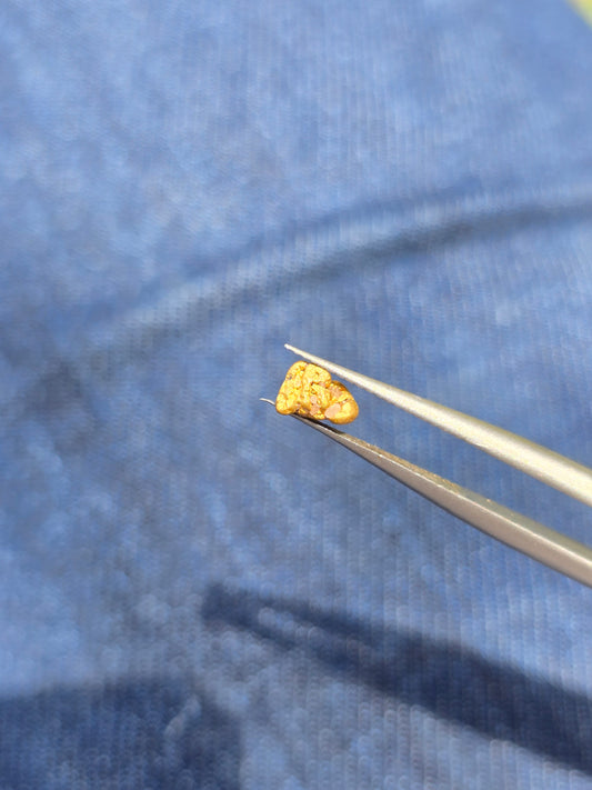 0.381g Gold Nugget