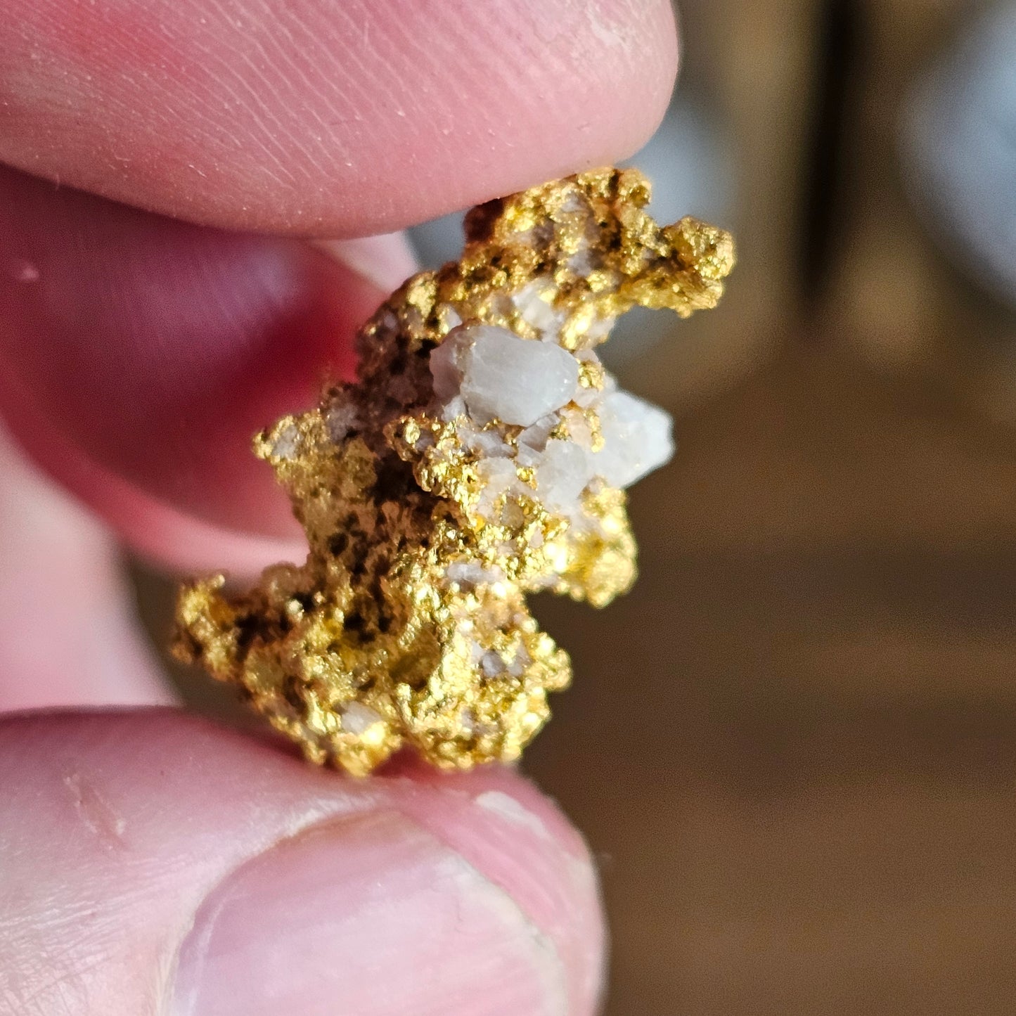 8.28g Palmer River Gold Specimen