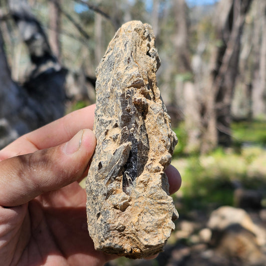 Smokey Quartz Specimen