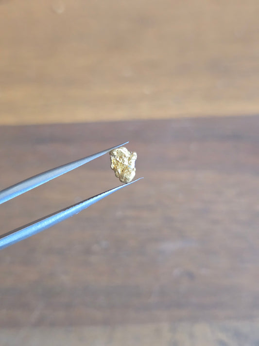 0.58g Gold Nugget