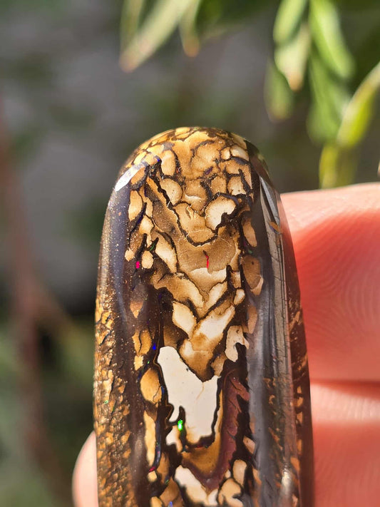 Queensland boulder Opal