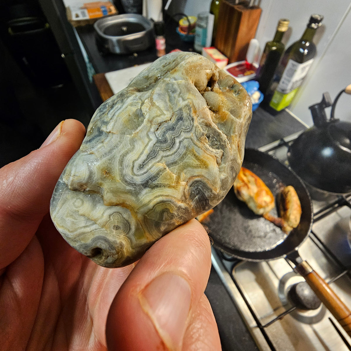 Reedy Creek lace agate