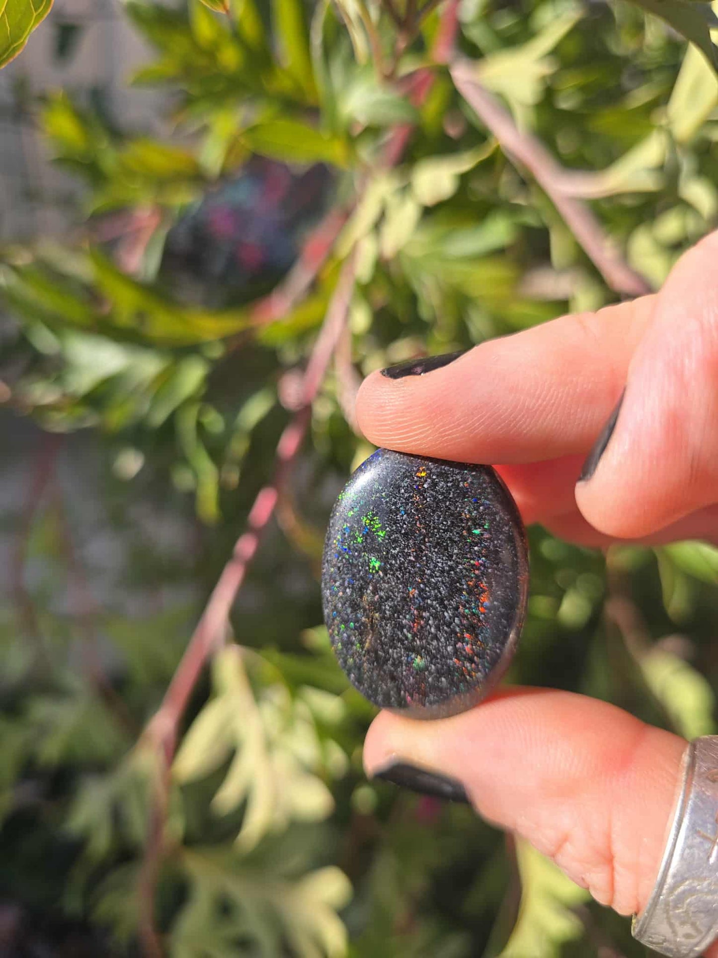 Queensland Fairy Boulder Opal 53ct