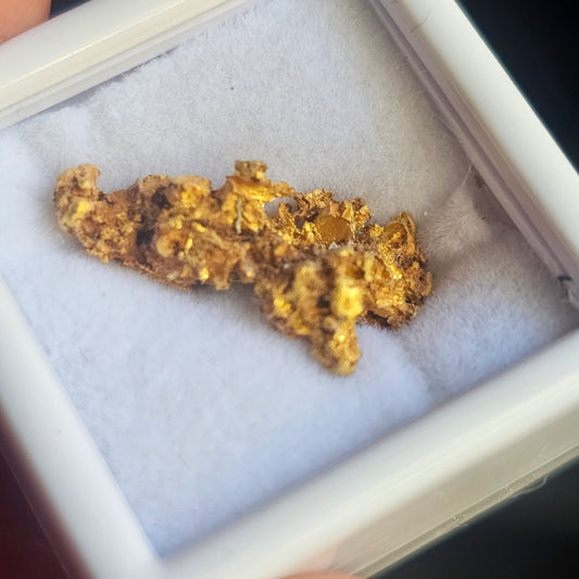 Bendigo Reef Specimen | 3.84g